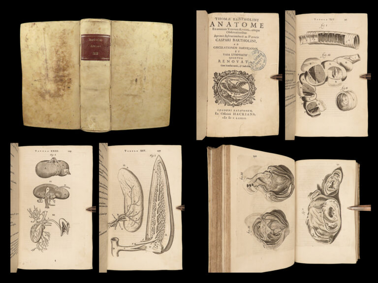 Image of 1673 Human Anatomy Medicine Surgery Illustrated William Harvey Blood Bartholin