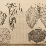 1673 Human Anatomy Medicine Surgery Illustrated William Harvey Blood Bartholin
