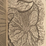 1673 Human Anatomy Medicine Surgery Illustrated William Harvey Blood Bartholin