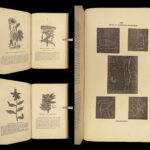 1869 Mystery of Medicine 1ed Poisons Diet Good Health Narcotics Gout Midwifery