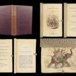 1836 Jardine Naturalist 1ed Mammals Africa Elephant Rhino Warthog Pachyderme ART