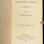 1836 Jardine Naturalist 1ed Mammals Africa Elephant Rhino Warthog Pachyderme ART