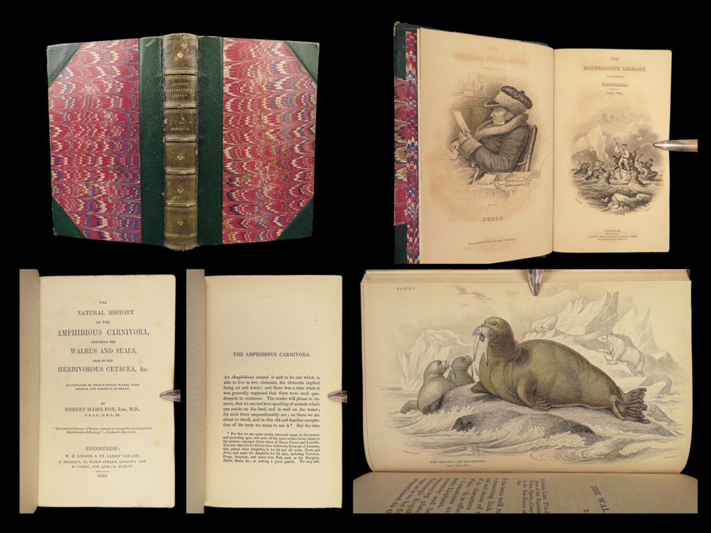 1839 sea monsters amphibious walrus seals manatee jardine kraken art leviathan | sir william jardine was a 19<sup>th</sup>-century scottish naturalist most known for his extensive series of books on natural history, ‘<em>the naturalist’s library’. </em> <em> </em> this 1839 edition of jardine’s ‘<em>mammalia</em>’ is beautifully color illustrated with 33 engravings of various species of ‘amphibious carnivora’ edited by robert hamilton. The plates from jardine’s works are exceedingly desirable and are found framed and displayed by themselves. This volume showcases illustrations and descriptions of the walrus, seal, sea-lions, manatee, sea-serpent, and more. This 1839 volume includes a memorial and portrait of francois peron.