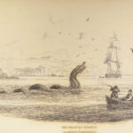 1839 SEA MONSTERS Amphibious Walrus Seals Manatee Jardine Kraken ART Leviathan