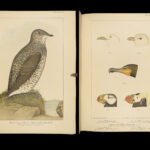 1887 ALASKA 1ed Natural History Zoology Illustrated BIRDS Fish Geology Canada