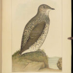 1887 ALASKA 1ed Natural History Zoology Illustrated BIRDS Fish Geology Canada