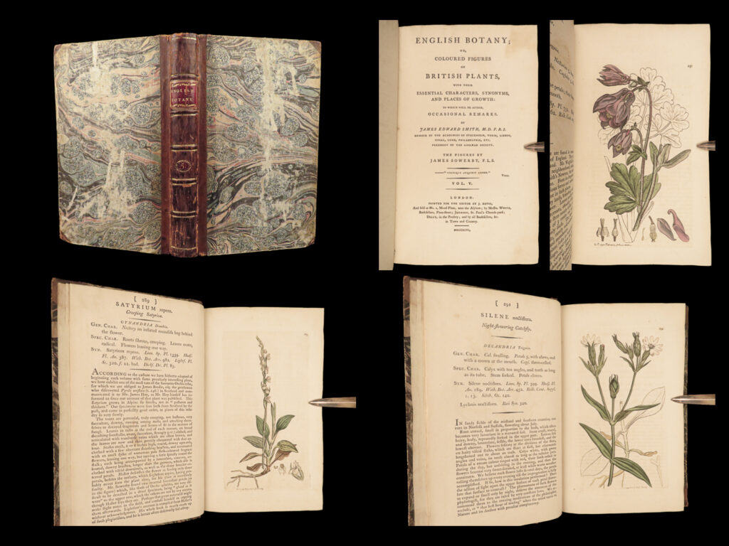 1796 english botany james sowerby 71 plates botanical color flowers plants rare | <em> </em> <u>“the most celebrated of all english floras” </u>(henrey) <em> </em> in 1790, english naturalist james sowerby published what would become the preeminent illustrated work on english botany. Entitled simply <em>‘english botany</em>’, this work was a complete compendium of the native plants in great britain providing characteristics of plants, places of growth, as well as commentary and remarks on flowers.   english botanist james edward smith published his own work on the subject, collaborating with and utilizing james sowerby’s popular flower illustrations. This first edition volume of smith’s ‘<em>sowerby’s botany</em>’ includes hundreds of fascinating, colored illustrations.