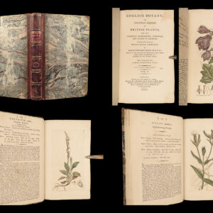 1796 English Botany James Sowerby 71 Plates Botanical Color Flowers Plants RARE