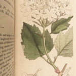 1796 English Botany James Sowerby 71 Plates Botanical Color Flowers Plants RARE