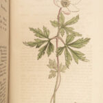 1796 English Botany James Sowerby 71 Plates Botanical Color Flowers Plants RARE