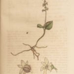 1796 English Botany James Sowerby 71 Plates Botanical Color Flowers Plants RARE