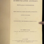 1870 Domesticated Animals Mudie Farm Dogs Cats Horses Poultry Chickens Pets