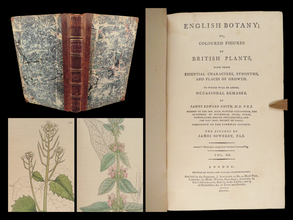 1801 english botany james sowerby color illustrated flowers british plants rare | <u>“the most celebrated of all english floras” </u>(henrey) <em> </em> in 1790, english naturalist james sowerby published what would become the preeminent illustrated work on english botany. Entitled simply <em>‘english botany</em>’, this work was a complete compendium of the native plants in great britain providing characteristics of plants, places of growth, as well as commentary and remarks on flowers.