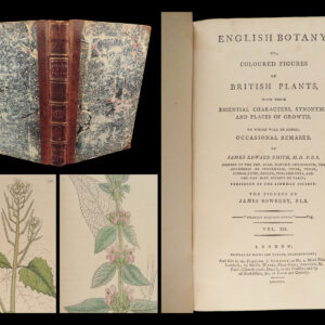 1801 English Botany James Sowerby Color Illustrated Flowers British Plants RARE