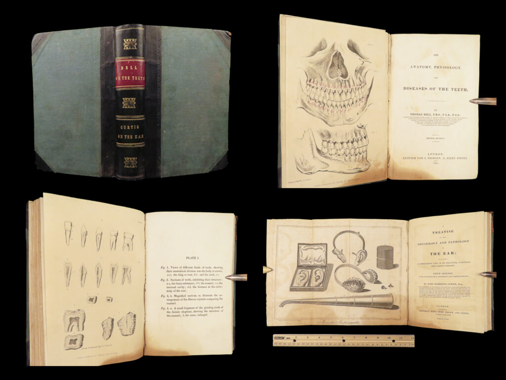 1831 dentist medical anatomy teeth dental + physiology pathology ears otology | bound together in a singular volume are two influential works of 19th-century medical literature, offering a detailed view of dental and aural health practices during that time. “<em>the anatomy, physiology, and diseases of the teeth</em>” by thomas bell provides one of the first comprehensive guides to dental science , discussing tooth structure, functions, and various pathologies, enriched with detailed illustrations to serve as an educational tool for medical students and practitioners. Complementing this is john harrison curtis’s “<em>a treatise on the physiology and pathology of the ear</em>,” a thorough text on the ear’s anatomy and functions, disorders, and contemporary treatments, acclaimed for its practicality and clear presentation free from esoteric medical jargon. This medical treatise compilation is an invaluable resource for those in the medical field, reflecting the period’s medical knowledge and practices in dentistry and otology.