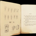 1831 DENTIST Medical Anatomy TEETH Dental + Physiology Pathology EARS Otology