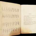 1831 DENTIST Medical Anatomy TEETH Dental + Physiology Pathology EARS Otology