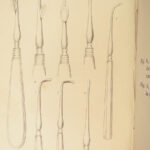 1831 DENTIST Medical Anatomy TEETH Dental + Physiology Pathology EARS Otology