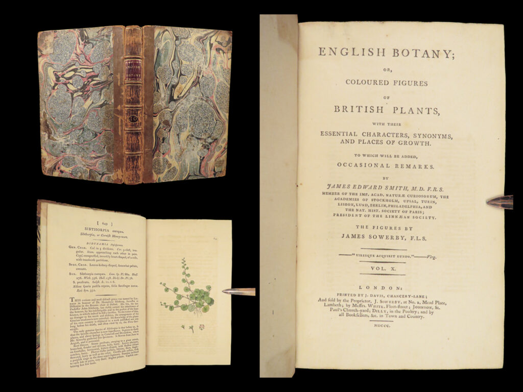 1800 english botany james sowerby color illustrated flowers british plants rare | <em> </em> <u>“the most celebrated of all english floras” </u>(henrey) <em> </em> in 1790, english naturalist james sowerby published what would become the preeminent illustrated work on english botany. Entitled simply <em>‘english botany</em>’, this work was a complete compendium of the native plants in great britain providing characteristics of plants, places of growth, as well as commentary and remarks on flowers.