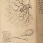 1763 SURGERY Cheselden Human Anatomy Medicine Skeleton Bones Illustrated English