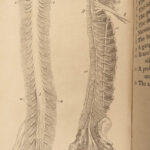1763 SURGERY Cheselden Human Anatomy Medicine Skeleton Bones Illustrated English