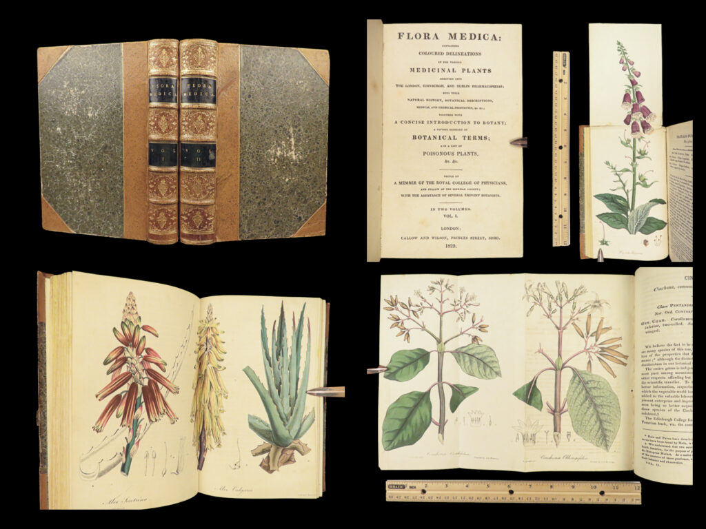 1829 flowers 1ed flora medica botany medicine color illustrated 2v set spratt |   george spratt’s <em>“flora medica</em>” is a rare, early 19<sup>th</sup>-century botany encyclopedia noted for its exquisite, hand-colored engravings. This book, collected and edited by the royal college of physicians of london contains <strong>nearly 200 different illustrations of flowers</strong> with descriptions noting their medicinal properties. In addition to the flowers themselves, spratt included a thorough table of botanical terms and definitions.   this book is considered quite valuable. In fact, the illustrations alone are known to be extracted and sold separately. It is quite rare to find them all intact in such an impressive lot. A must have!  