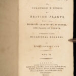 1793 English Botany Sowerby Color Illustrated Flowers Plants RARE Botanical ART
