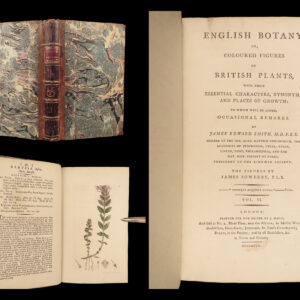 1797 English Botany Sowerby Color Illustrated Flowers Plants RARE Botanical ART