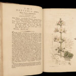 1797 English Botany Sowerby Color Illustrated Flowers Plants RARE Botanical ART