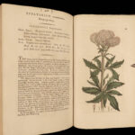 1797 English Botany Sowerby Color Illustrated Flowers Plants RARE Botanical ART