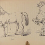 1859 EQUESTRIAN 1ed Hints to Horse Keepers Riding HORSES Veterinary Medicine