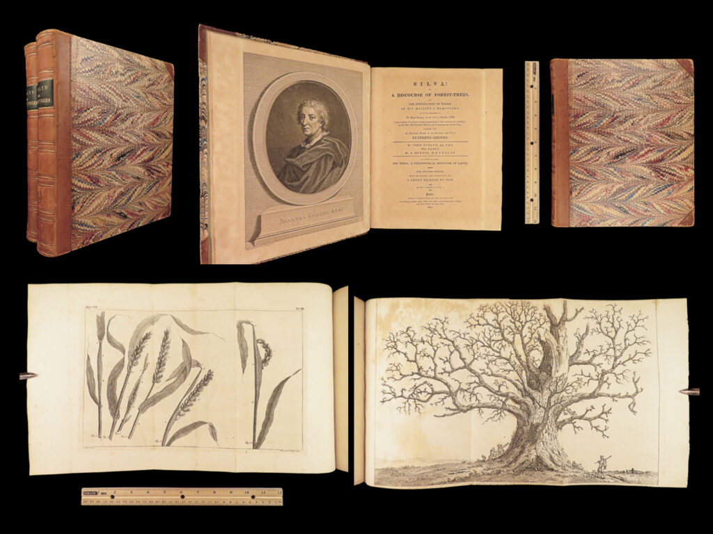 1812 john evelyn sylva forest trees forestry illustrated plants botany 2v set |   john evelyn was an english writer, gardener, and diarist. His diaries, or memoirs, are largely contemporaneous with those of the other noted diarist of the time, samuel pepys, and cast considerable light on the art, culture, and politics of his time. It was, however, his work “<em>sylva</em>” that is considered one of the best. This treatise, more often known as “<em>a discourse of forest trees</em>” is <strong>one of the most important works on forestry ever written. </strong>   in 1662, evelyn presented a paper to the royal society concerning the depletion of england’s forests due to the logging and ship-building industries with the hopes of advocating for the restoration of the declining forests. Evelyn notes specific varieties of trees and provides direction on how to sustain them as well as providing instruction on how to appropriately cultivate trees rather than just cutting them down en masse.   this 1812 edition was published in york, representing the vast legacy that this book had more than 150 years after the first edition.