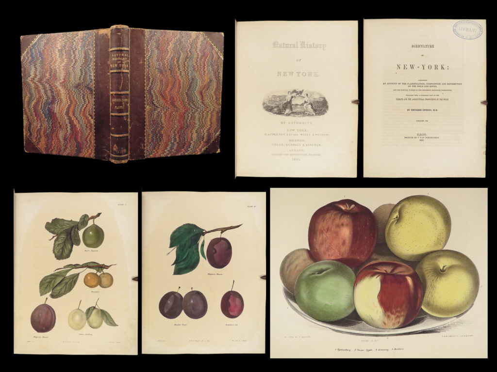1851 new york 1ed agriculture farming fruits & vegetables illustrated apples | ebenzer emmons’ “<em>agriculture of new york</em>” is a rare, pre-civil war account of the farming and gardening economics in new york. Emmons offers accounts of all aspects of the growing and distribution of fruits and vegetables with notes on soils, weather, topography, and plant interactions with insects.   this highly coveted volume from the 1851 first edition set covers the fruits grown in new york. It features exquisite, full-page color engravings depicting various fruits – primarily varieties of apples, pears, and peaches.