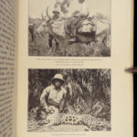1914 Teddy Roosevelt 1ed Brazilian Wilderness Rondon Scientific Expedition MAPS