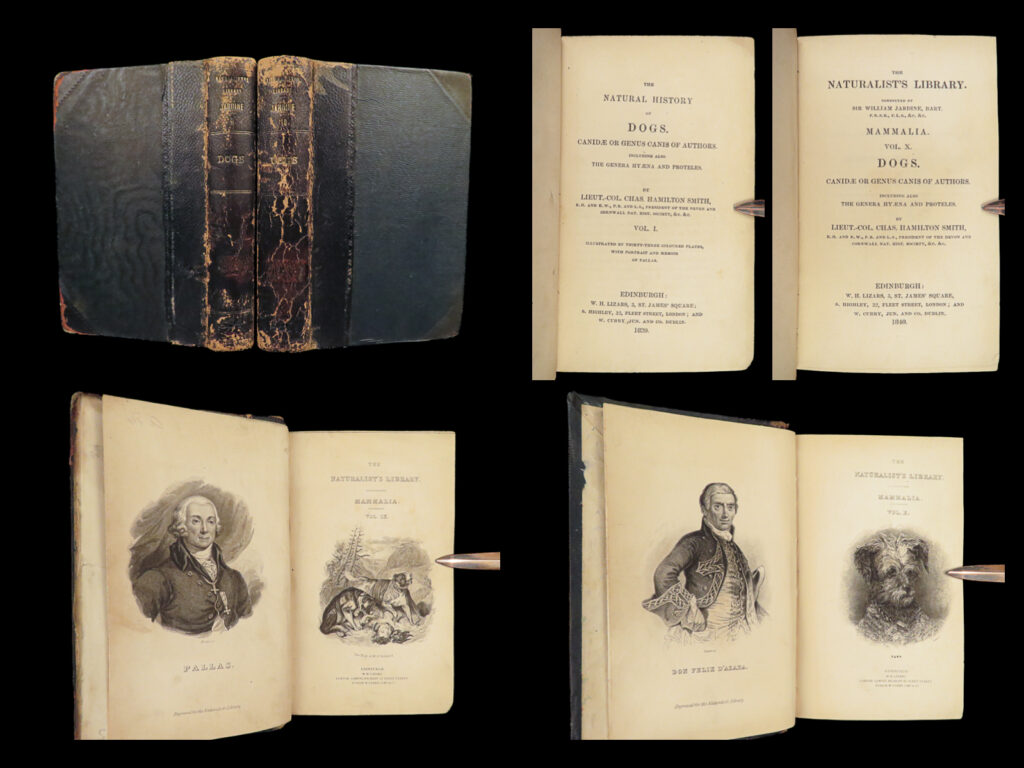 1839 dogs & wolves 1ed huskies hyenas fox jardine naturalist illustrated canines | sir william jardine was a 19<sup>th</sup>-century scottish naturalist most known for his extensive series of books on natural history, ‘<em>the naturalist’s library’. </em> <em> </em> this edition of jardine’s ‘<em>mammalia’</em> is beautifully color illustrated with engravings of various species of dogs and canines! The plates from jardine’s works are exceedingly desirable and are found framed and displayed by themselves. This set showcases wolves, siberian huskies, greyhounds, spaniels, watchdogs, sheepdogs and cattle dogs, pomeranians, hyenas, jackals, foxes, and many others!