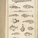 1796 London SCIENCE Royal Encyclopedia HUGE Dictionary 100 PLATES Illustrated 2v