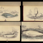 1839 SEA MONSTERS Amphibious Walrus Seals Manatee WHALES Kraken Leviathan 2v