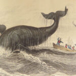1839 SEA MONSTERS Amphibious Walrus Seals Manatee WHALES Kraken Leviathan 2v