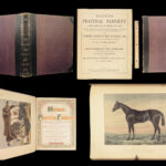 1874 EQUESTRIAN Farriery Miles Veterinary Medicine Cattle Cows ART Horses