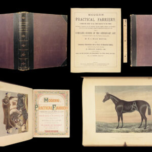 1874 EQUESTRIAN Farriery Miles Veterinary Medicine Cattle Cows ART Horses