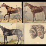 1874 EQUESTRIAN Farriery Miles Veterinary Medicine Cattle Cows ART Horses