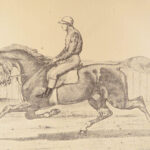 1874 EQUESTRIAN Farriery Miles Veterinary Medicine Cattle Cows ART Horses