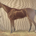 1874 EQUESTRIAN Farriery Miles Veterinary Medicine Cattle Cows ART Horses