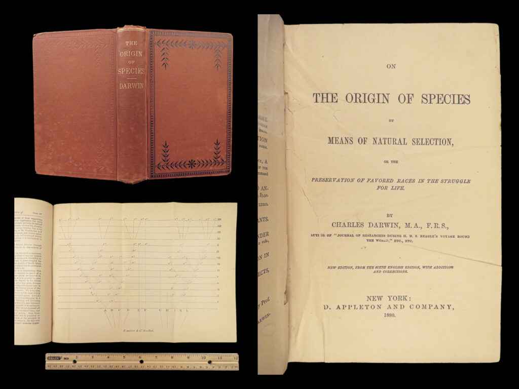 1880 darwin origin of species evolution survival of fittest biology science | <em>“one general law, leading to the advancement of all organic beings, namely, multiply, vary, </em><strong><u>let the strongest live and the weakest die. ”</u></strong> ― charles darwin,<em> the origin of species</em>   <em>“origin of species”,</em> originally written in 1859, helped lay the foundation for many of the theories of evolution that would shape thinking for the next century. According to glick, “‘origin of species’ greatest impact on german biological practice lay in the introduction of historical modes of explanation for the observable phenomena of living nature. The historical approach to nature was rejected, not only by the opponents of evolution, but also by the idealist evolutionist. Whether they favored a teleological or a reductionist biology, the idealists could not see the point of a theory that emphasized the irregularities and exceptions in the organic world. In the timeless real of idealist thinking, unchanging laws worked out an inevitable destiny. But darwin taught his followers to look at living beings one by one. Thus prompted, they recognized, as if for the first time, the surprising fact of anomaly and the wisdom of an open-ended theory. " (glick, <em>comparative reception of darwinism</em>) garrison calls this work “the most wonderful piece of synthesis in the history of science. ”