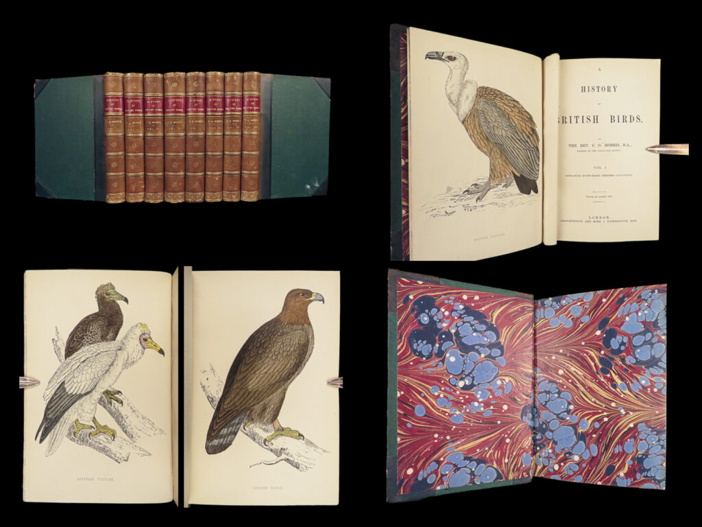 1867 british birds 300+ hand-colored illustrations woodpeckers swift morris 8v | f. O. Morris’s <em>“history of british birds</em>” is one of the most desirable and valuable works of its kind.  earlier in the 19<sup>th</sup>-century, james audubon published his “birds of america” which met the public with unprecedented popularity. Morris recognized that a similar work for british birds may garner the same popularity amongst british bird-watchers. He was right! This book, and its <strong><u>hundreds of color illustrations</u></strong>, not only served as a complete anthology of the birds in great britain, but also served as a stunning display!   item number: #26616 price: $1500