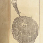 1772 MARRIAGE 1ed Men vs Women Female Reproduction Anatomy Impotence Lignac 2v