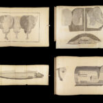 1837 John Hunter Anatomy Atlas Surgery Medicine Illustrated Biology Veterinary