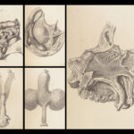 1837 John Hunter Anatomy Atlas Surgery Medicine Illustrated Biology Veterinary