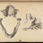 1837 John Hunter Anatomy Atlas Surgery Medicine Illustrated Biology Veterinary