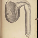 1837 John Hunter Anatomy Atlas Surgery Medicine Illustrated Biology Veterinary